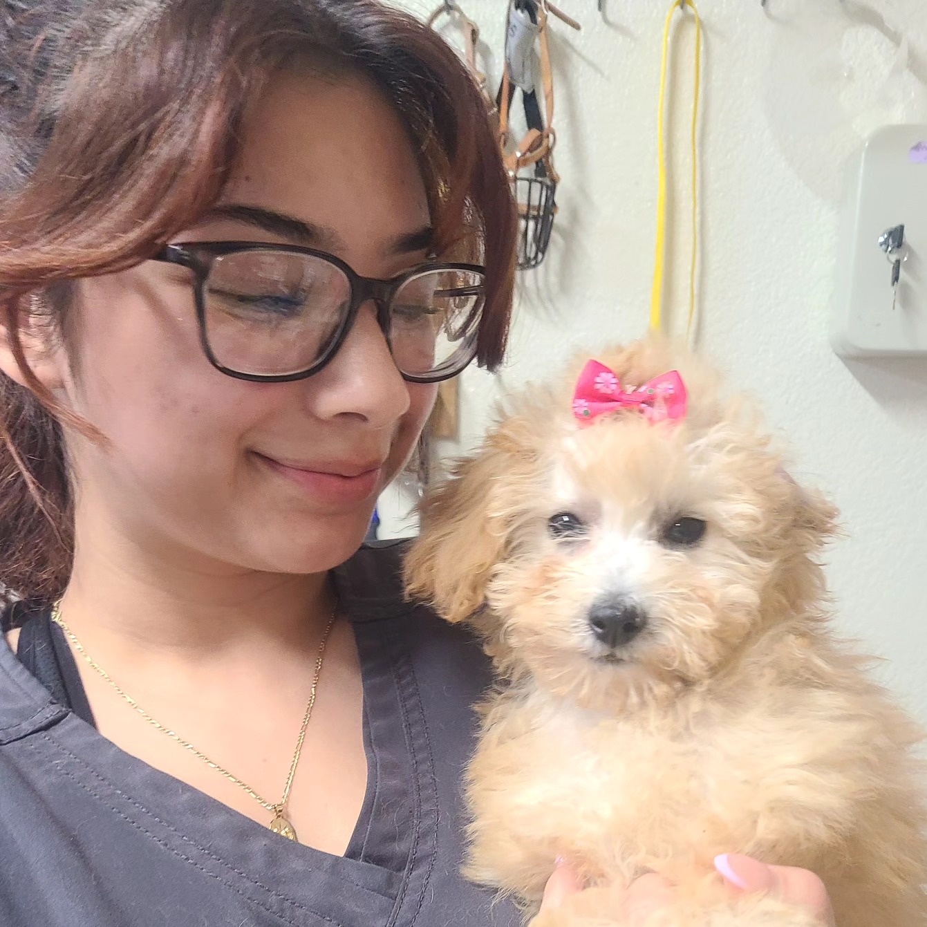 AAA Animal Hospital