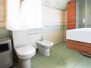 Gogo Rooter Plumbing