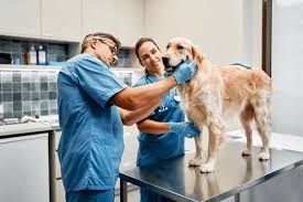 Greenwood Animal Hospital