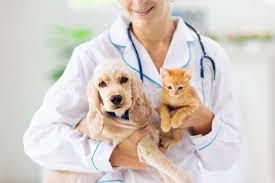 Tillema Veterinary Clinic