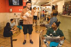San Francisco Animal Medical Center
