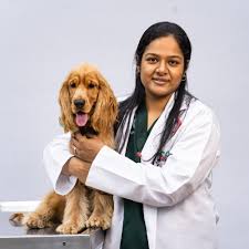 VCA Aacacia Animal Hospital