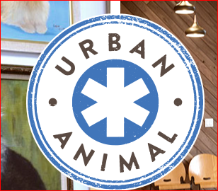 Urban Animal